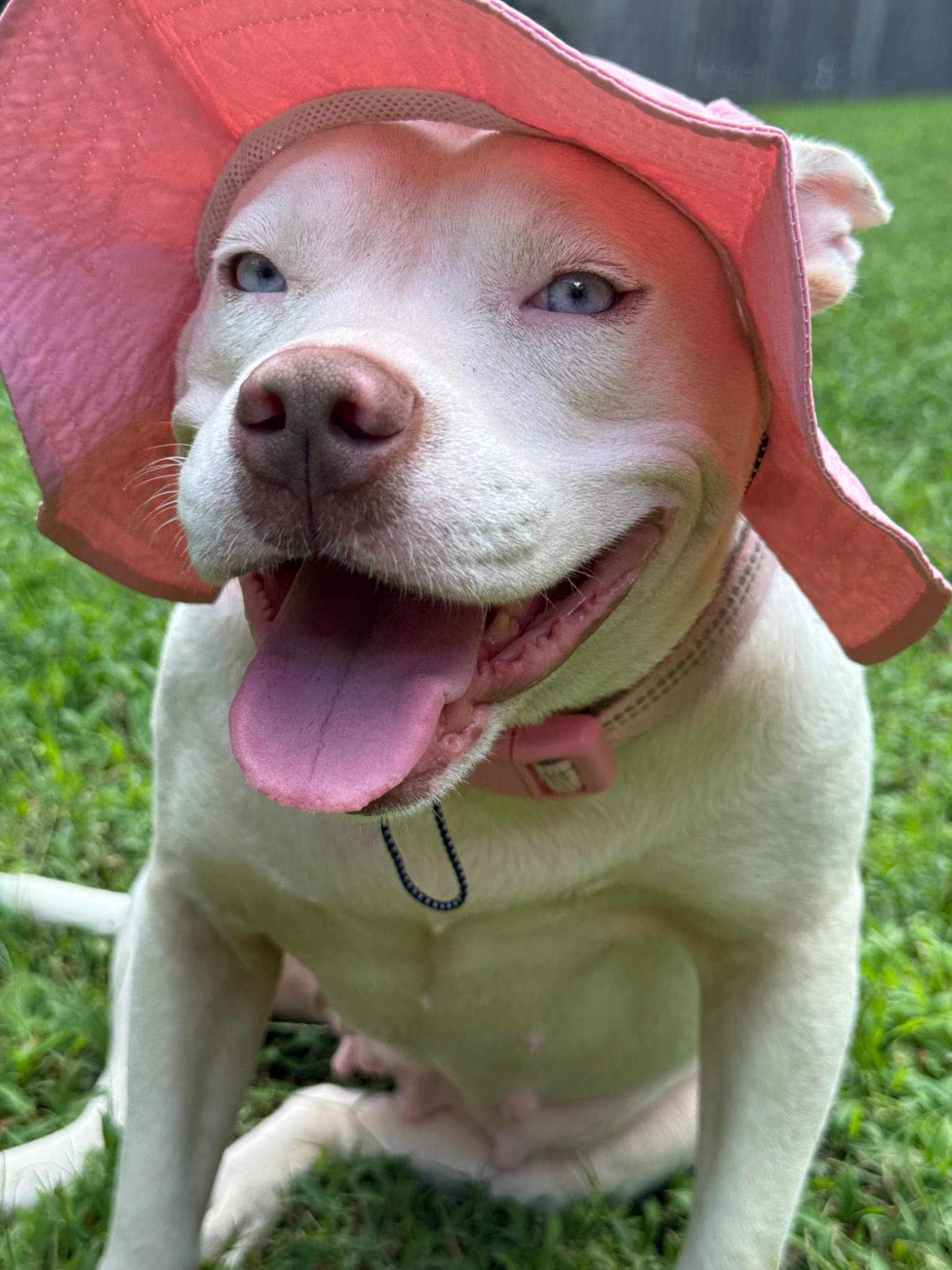 Pearl smiling outdoors in a pink sun hat